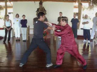 Taijiquan