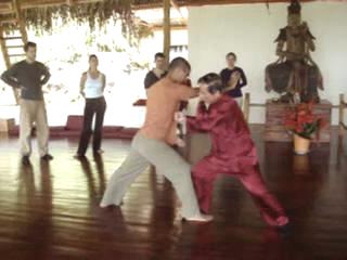 Taijiquan