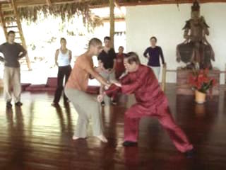 Taijiquan