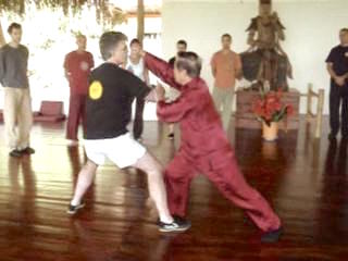 Wahnam Taijiquan, Tai Chi Chuan