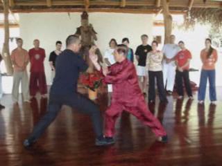 Taijiquan