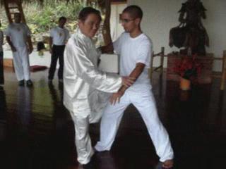 Shaolin Kungfu