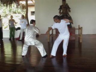 Shaolin Kungfu