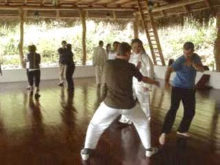 Wahnam Taijiquan