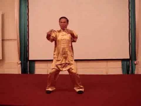 Wahnam Taijiquan