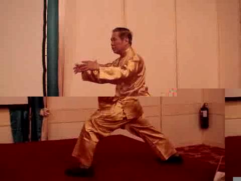 Wahnam Taijiquan