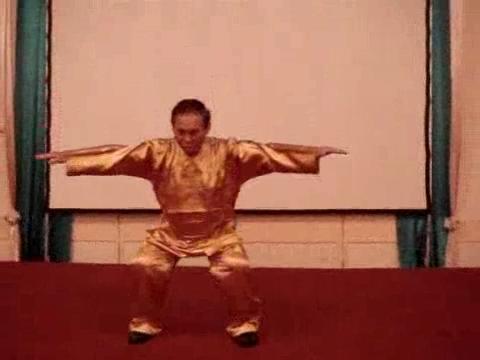 Wahnam Taijiquan