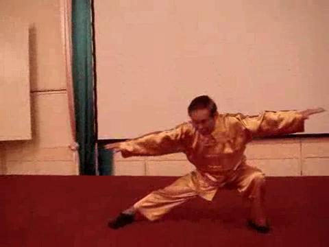 Wahnam Taijiquan