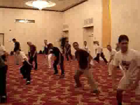 Wahnam Taijiquan