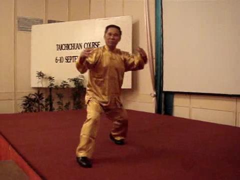 Wahnam Taijiquan Tai Chi Chuan