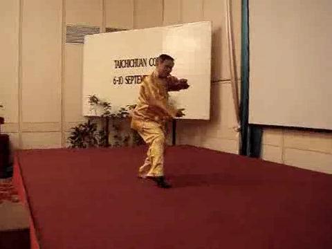 Wahnam Taijiquan