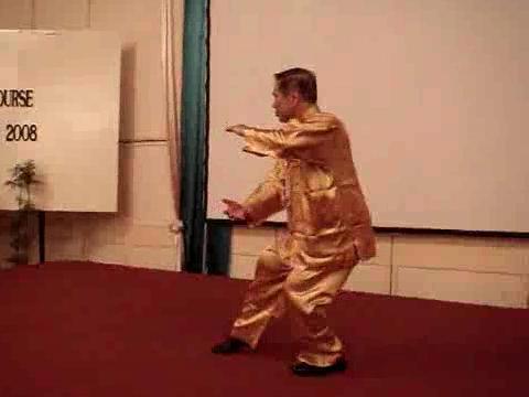 Taijiquan