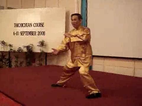 Wahnam Taijiquan Tai Chi Chuan