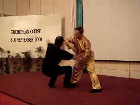 Wahnam Taijiquan Tai Chi Chuan