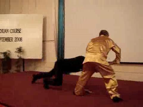 Wahnam Taijiquan