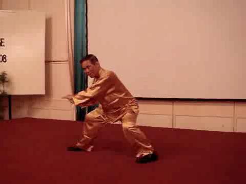 Wahnam Taijiquan