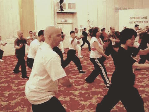 Wahnam Taijiquan, Tai Chi Chuan