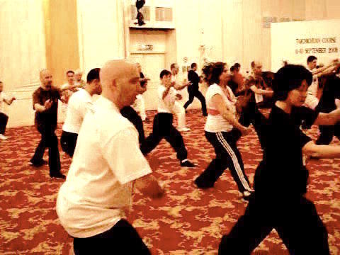 Wahnam Taijiquan, Tai Chi Chuan