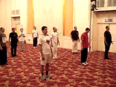 Wahnam Taijiquan