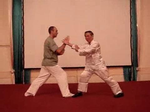 Wahnam Taijiquan