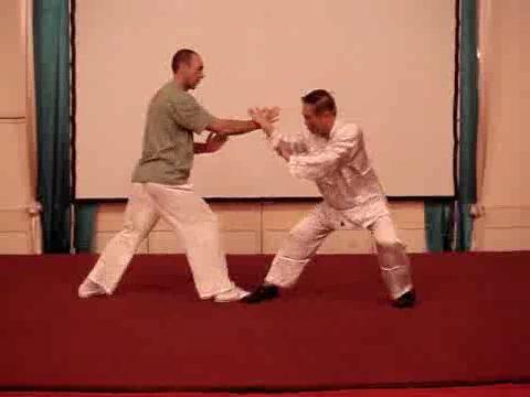 Wahnam Taijiquan