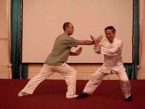 Wahnam Taijiquan Tai Chi Chuan