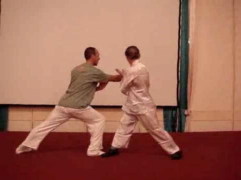 Wahnam Taijiquan