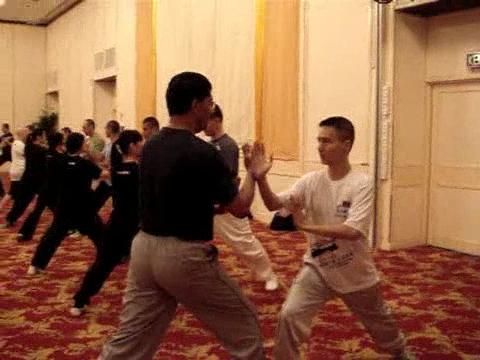 Wahnam Taijiquan