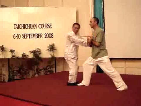 Wahnam Taijiquan