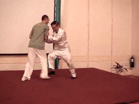 Wahnam Taijiquan Tai Chi Chuan