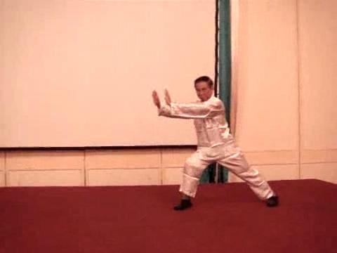 Wahnam Taijiquan