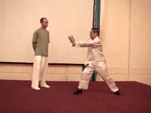 Wahnam Taijiquan