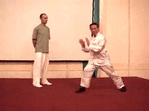 Wahnam Taijiquan