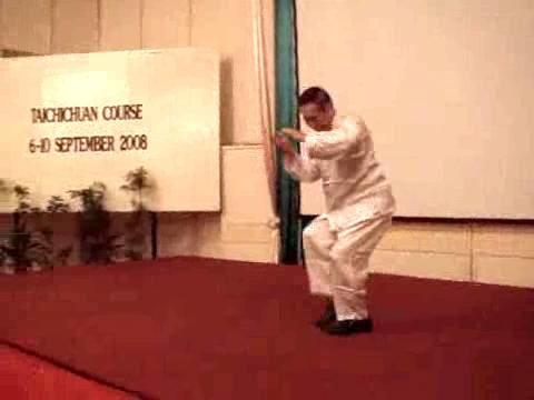 Wahnam Taijiquan Tai Chi Chuan