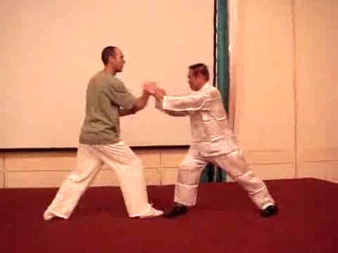 Wahnam Taijiquan