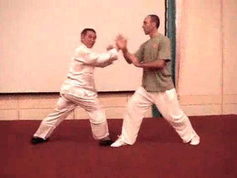 Wahnam Taijiquan