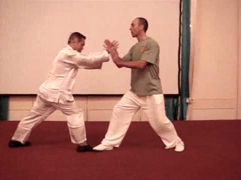 Wahnam Taijiquan Tai Chi Chuan