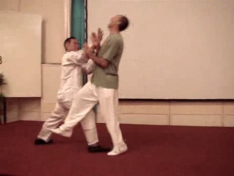 Wahnam Taijiquan