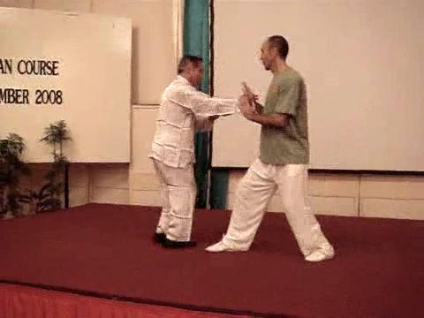 Wahnam Taijiquan