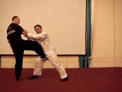 Wahnam Taijiquan Tai Chi Chuan