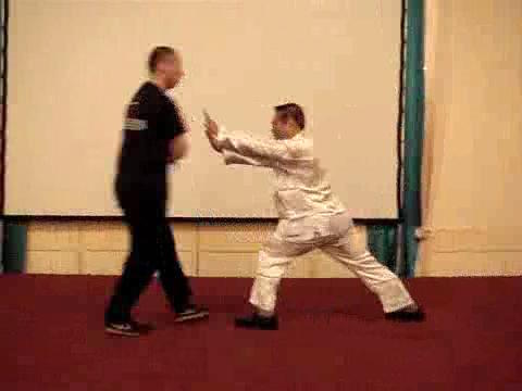 Wahnam Taijiquan