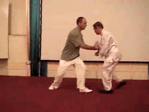 Wahnam Taijiquan