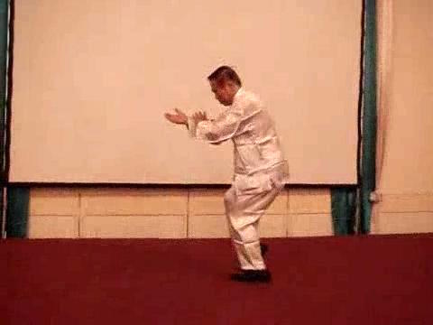 Wahnam Taijiquan