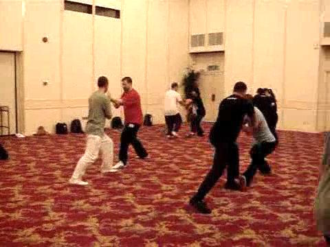 Wahnam Taijiquan