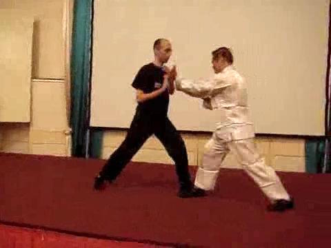 Wahnam Taijiquan