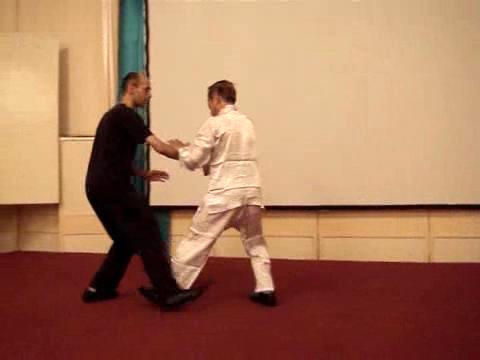 Wahnam Taijiquan Tai Chi Chuan