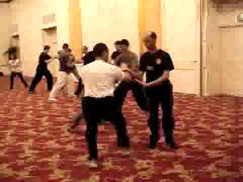 Wahnam Taijiquan