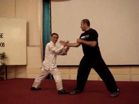 Taijiquan