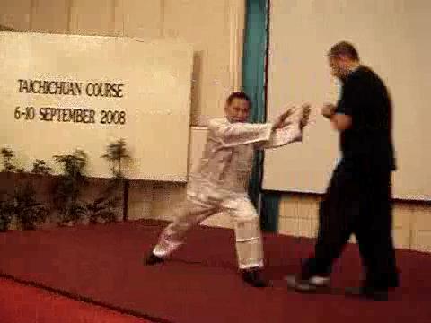 Wahnam Taijiquan