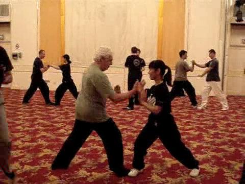 Wahnam Taijiquan